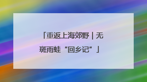 重返上海郊野｜无斑雨蛙“回乡记”