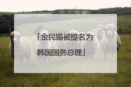 金民锡被提名为韩国国务总理