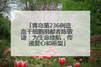 青岛第236例造血干细胞捐献者陈敬谦：为生命续航，传递爱心和希望