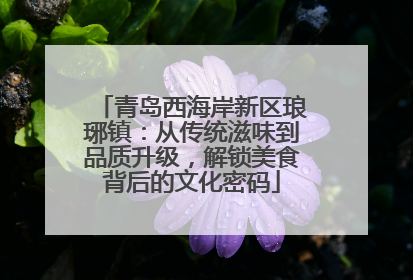 青岛西海岸新区琅琊镇：从传统滋味到品质升级，解锁美食背后的文化密码