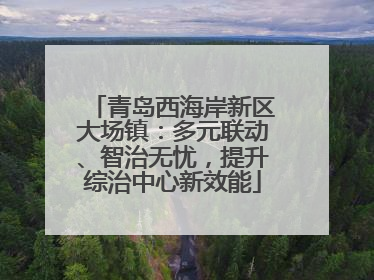 青岛西海岸新区大场镇：多元联动、智治无忧，提升综治中心新效能