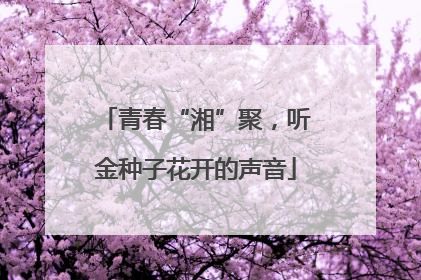 青春“湘”聚，听金种子花开的声音