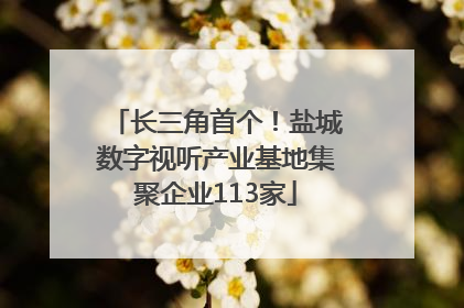 长三角首个！盐城数字视听产业基地集聚企业113家