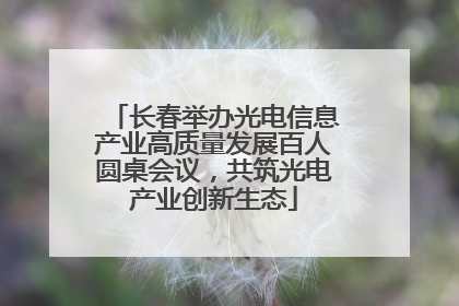 长春举办光电信息产业高质量发展百人圆桌会议，共筑光电产业创新生态