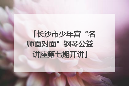长沙市少年宫“名师面对面”钢琴公益讲座第七期开讲