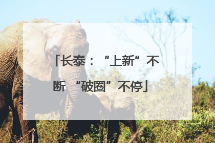 长泰：“上新”不断 “破圈”不停