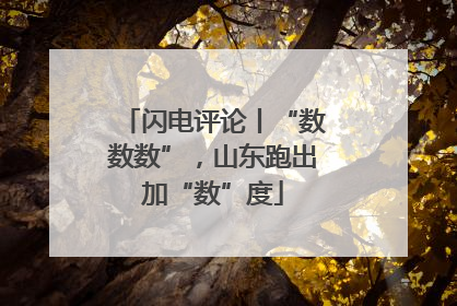 闪电评论丨“数数数”，山东跑出加“数”度