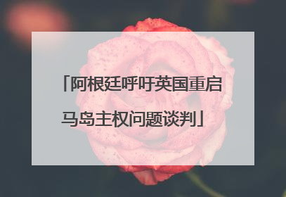 阿根廷呼吁英国重启马岛主权问题谈判