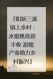 阳新三溪镇上余村：水蜜桃喜迎丰收 甜蜜产业助力乡村振兴