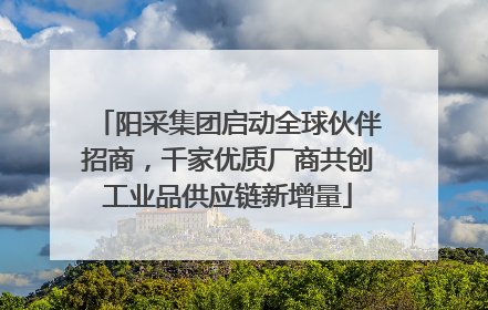 阳采集团启动全球伙伴招商，千家优质厂商共创工业品供应链新增量