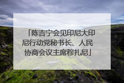 陈吉宁会见印尼大印尼行动党秘书长、人民协商会议主席穆扎尼