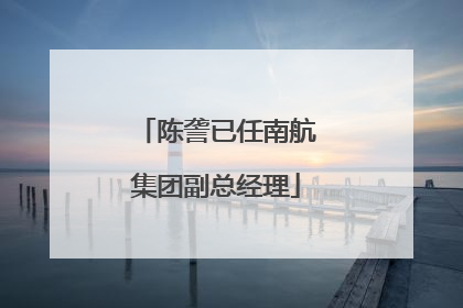 陈詟已任南航集团副总经理