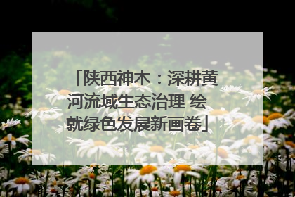 陕西神木：深耕黄河流域生态治理 绘就绿色发展新画卷