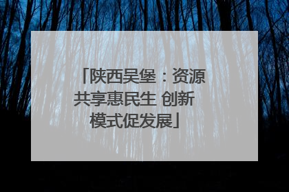 陕西吴堡：资源共享惠民生 创新模式促发展