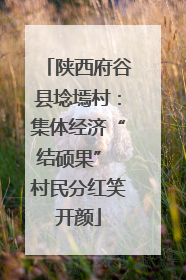 陕西府谷县埝墕村：集体经济“结硕果” 村民分红笑开颜