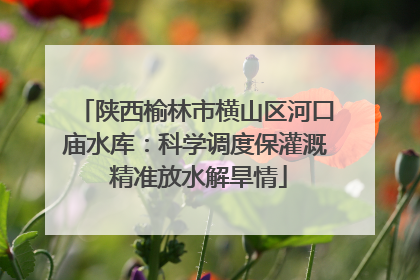 陕西榆林市横山区河口庙水库：科学调度保灌溉 精准放水解旱情