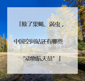 除了果蝇、涡虫，中国空间站还有哪些“动物航天员”