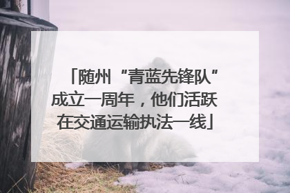 随州“青蓝先锋队”成立一周年，他们活跃在交通运输执法一线