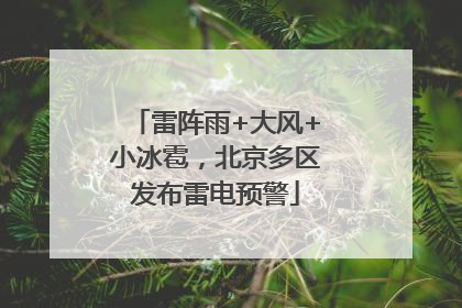 雷阵雨+大风+小冰雹，北京多区发布雷电预警