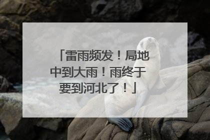雷雨频发！局地中到大雨！雨终于要到河北了！