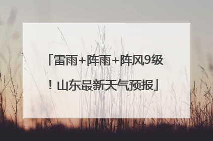 雷雨+阵雨+阵风9级！山东最新天气预报