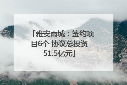 雅安雨城：签约项目6个 协议总投资51.5亿元
