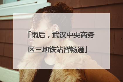 雨后，武汉中央商务区三地铁站皆畅通