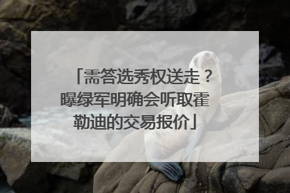 需答选秀权送走？曝绿军明确会听取霍勒迪的交易报价