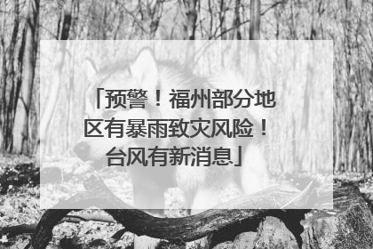 预警！福州部分地区有暴雨致灾风险！台风有新消息