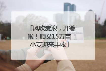 风吹麦浪，开镰啦！顺义15万亩小麦迎来丰收