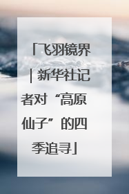 飞羽镜界｜新华社记者对“高原仙子”的四季追寻