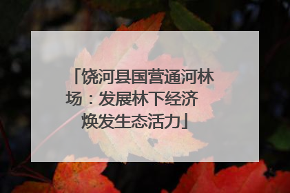 饶河县国营通河林场：发展林下经济 焕发生态活力