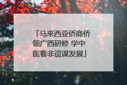 马来西亚侨商侨领广西研修 学中医看非遗谋发展
