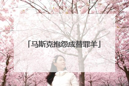 马斯克抱怨成替罪羊