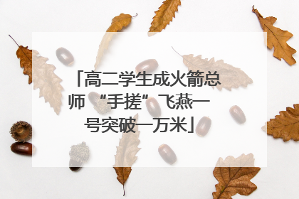 高二学生成火箭总师 “手搓”飞燕一号突破一万米