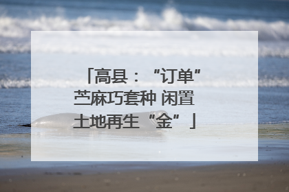 高县：“订单”苎麻巧套种 闲置土地再生“金”
