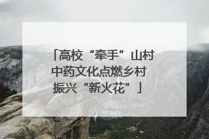 高校“牵手”山村 中药文化点燃乡村振兴“新火花”