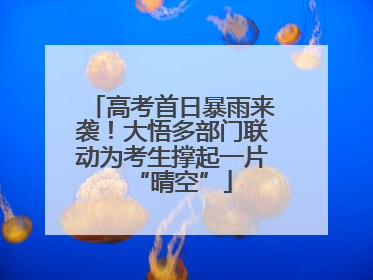 高考首日暴雨来袭！大悟多部门联动为考生撑起一片“晴空”