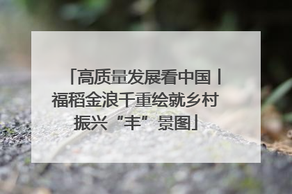 高质量发展看中国丨福稻金浪千重绘就乡村振兴“丰”景图