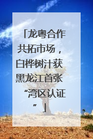 龙粤合作共拓市场，白桦树汁获黑龙江首张“湾区认证”