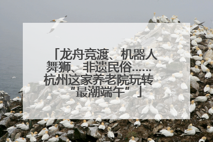 龙舟竞渡、机器人舞狮、非遗民俗……杭州这家养老院玩转“最潮端午”