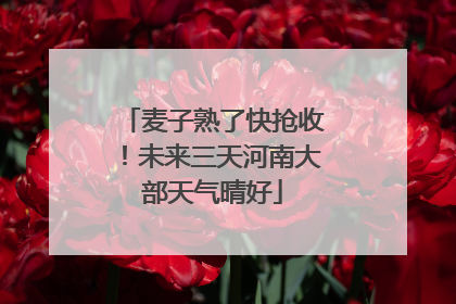 麦子熟了快抢收！未来三天河南大部天气晴好