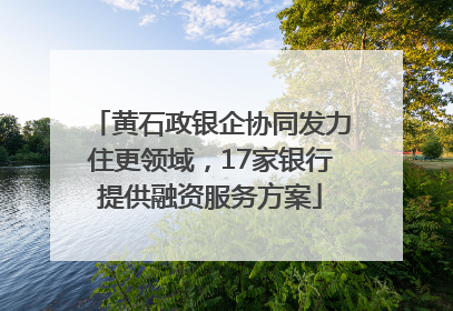 黄石政银企协同发力住更领域，17家银行提供融资服务方案