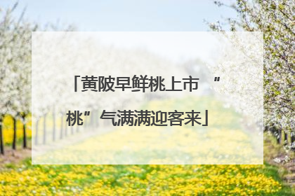 黄陂早鲜桃上市 “桃”气满满迎客来