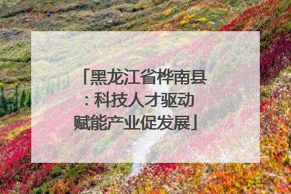 黑龙江省桦南县：科技人才驱动 赋能产业促发展