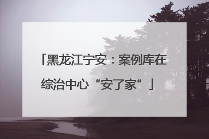 黑龙江宁安：案例库在综治中心“安了家”