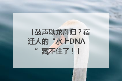 鼓声歇龙舟归？宿迁人的“水上DNA”藏不住了！