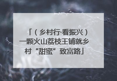 （乡村行·看振兴）一颗火山荔枝王铺就乡村“甜蜜”致富路