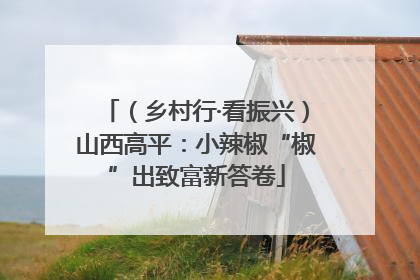 （乡村行·看振兴）山西高平：小辣椒“椒”出致富新答卷