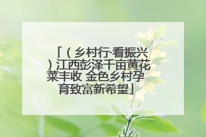 （乡村行·看振兴）江西彭泽千亩黄花菜丰收 金色乡村孕育致富新希望